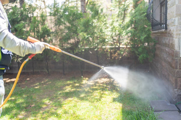 Best Mosquito Control Services  in Hamlet, NC