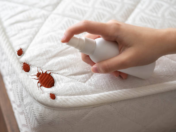 Best Exterminator Services  in Hamlet, NC